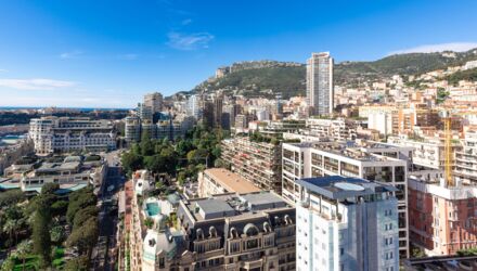 petrini exclusive real estate