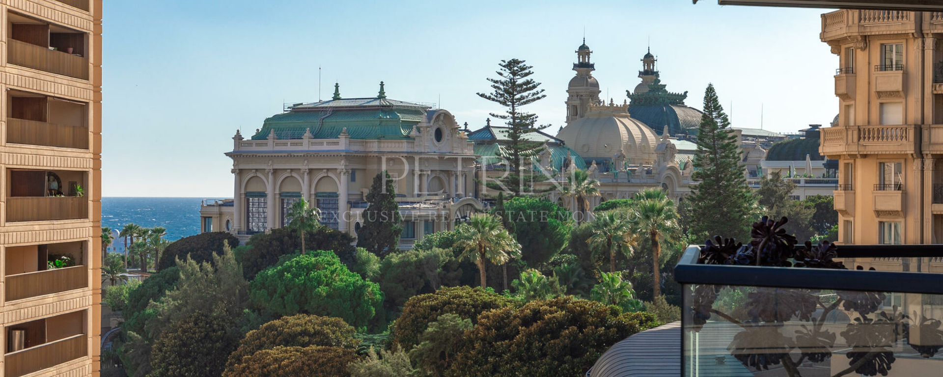 prince de galles petrini exclusive2