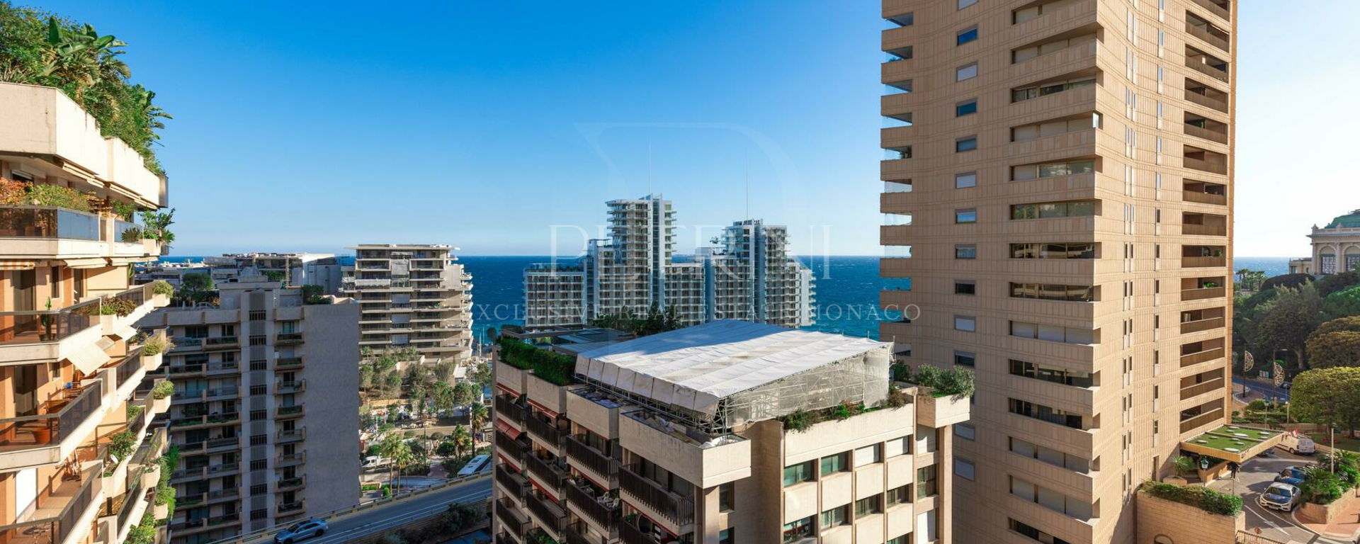 prince de galles petrini exclusive3