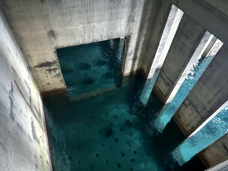 Découvrez la Grotte Bleue à Mareterra Monaco